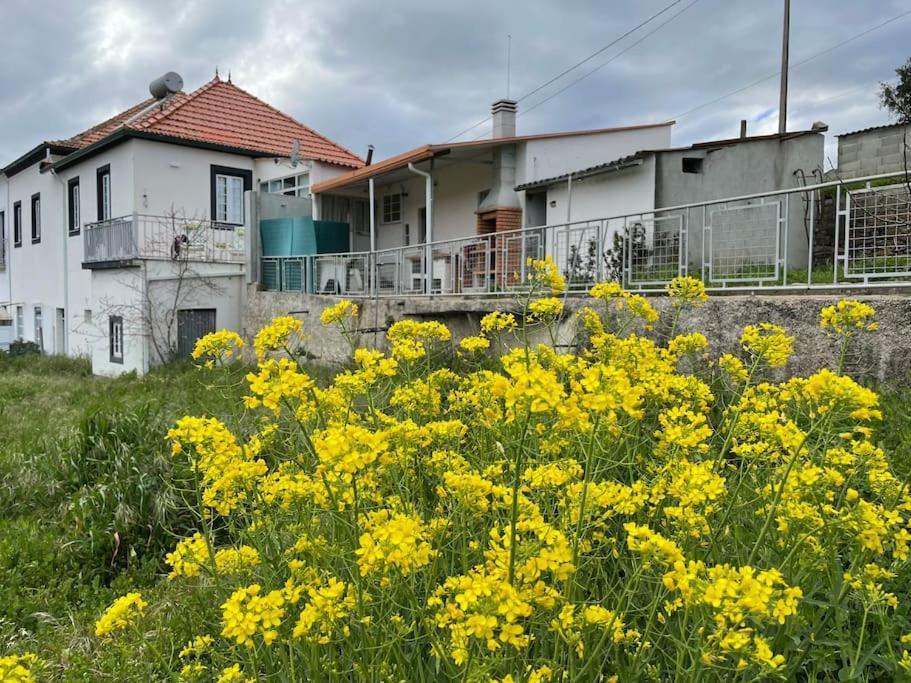 Casa Da Celeste Maljoga de Proenca Esterno foto