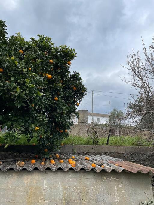 Casa Da Celeste Maljoga de Proenca Esterno foto